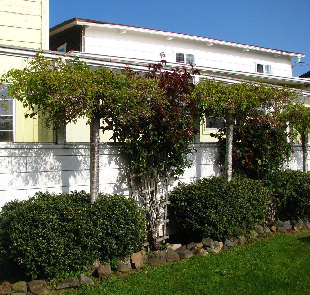 Pacific City Inn Bagian luar foto